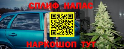 гашик Абакан